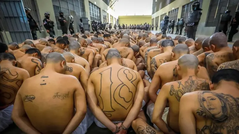 Estados Unidos considera seis carteles mexicanos, en la Arague y el tren MS-13 como terrorista