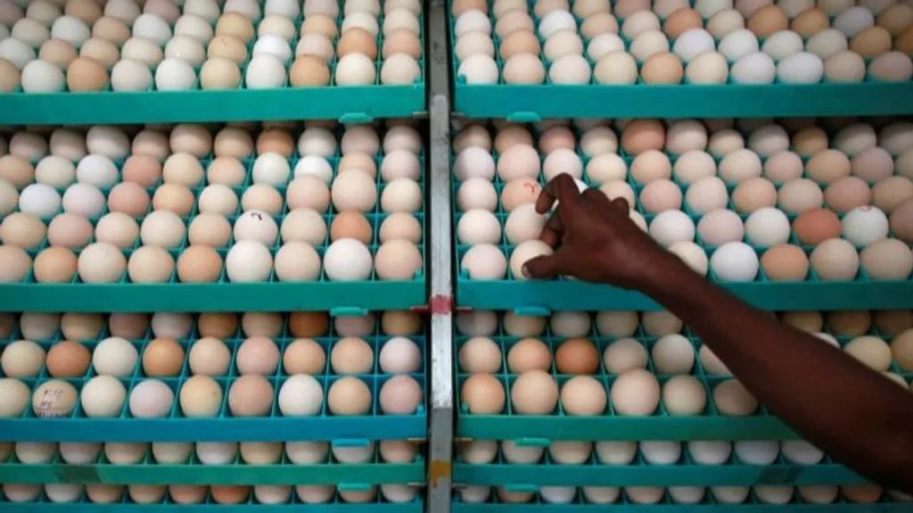 Roban 100.000 huevos de un camión en Pensilvania en plena escasez de este alimento en EEUU