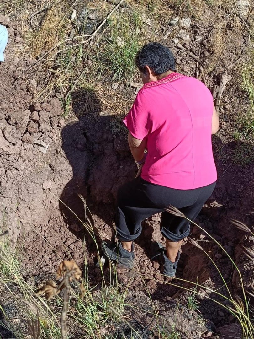 "Caminamos en el cementerio en México", dijo Indira Navarro