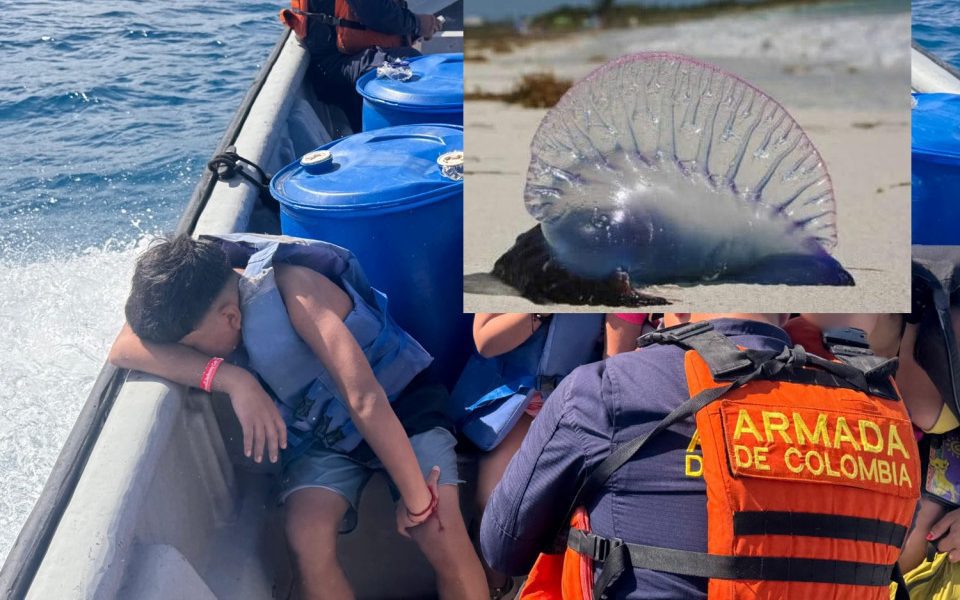 Evacua National Navy Cayo Aquario a un joven turista chileno que tuvo contacto con "Bad Water" o Portuguese Fregate -
