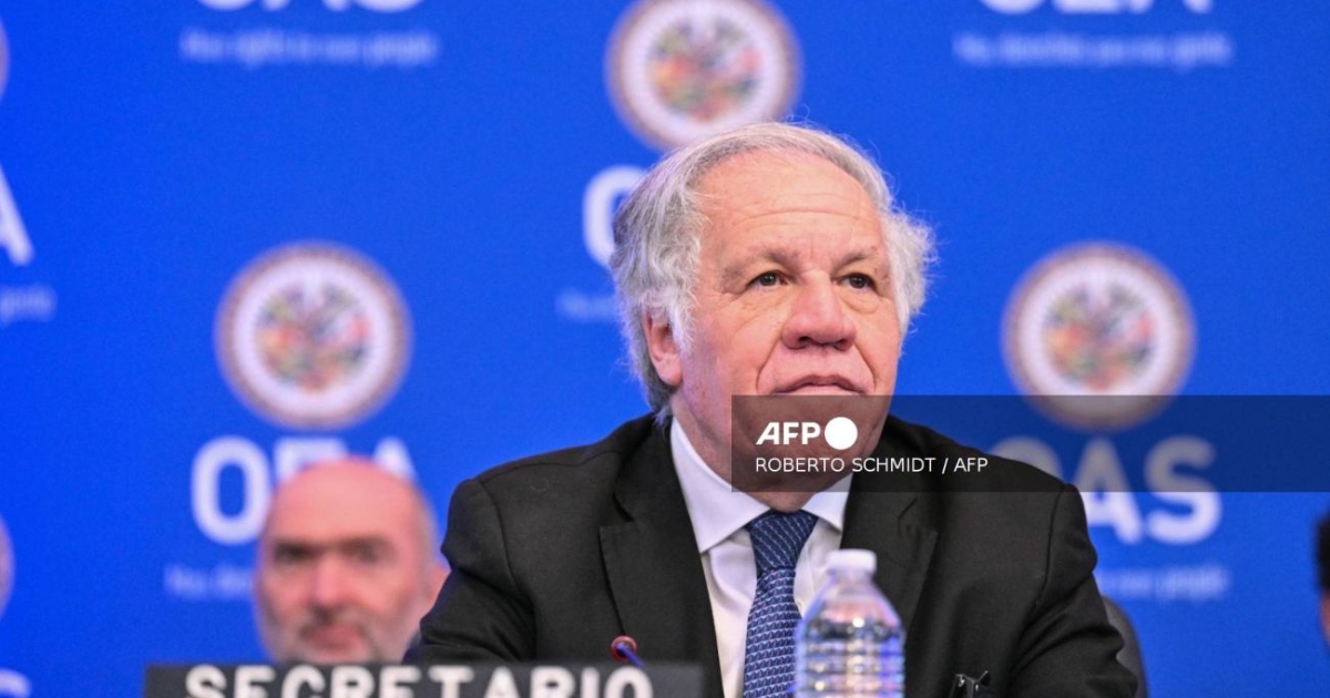 OAS advierte sobre grupos ilegales
