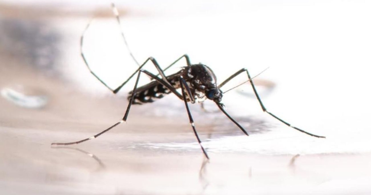 regiones con múltiples casos para la Semana Santa