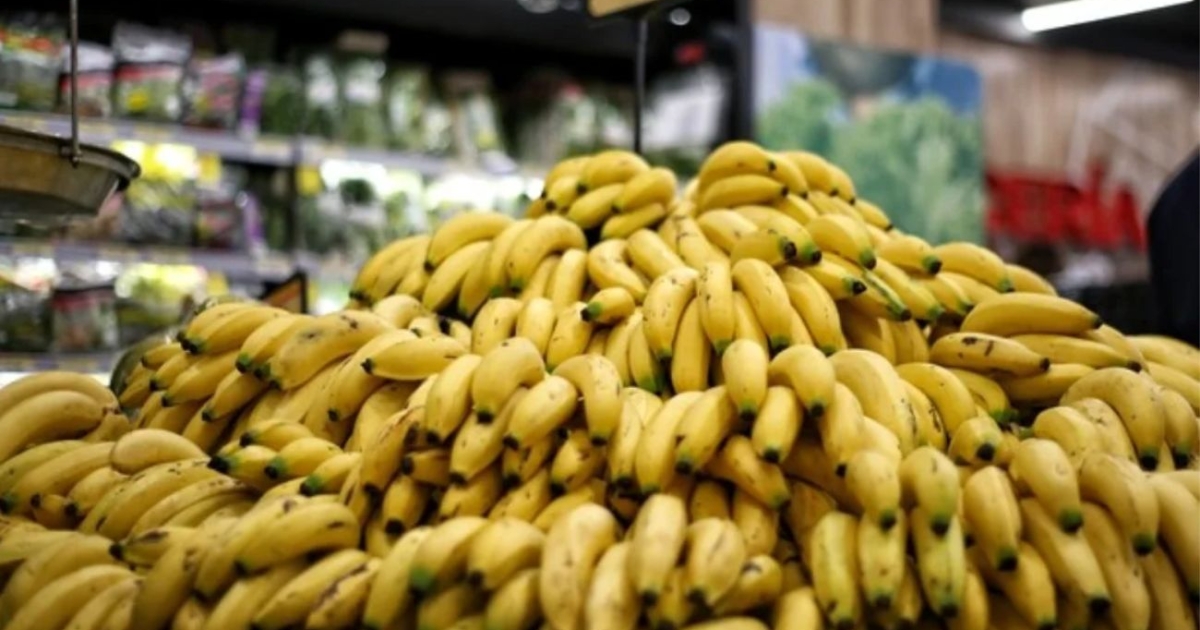El sector de Banacaro indica dificultad para exportar a los EE. UU.