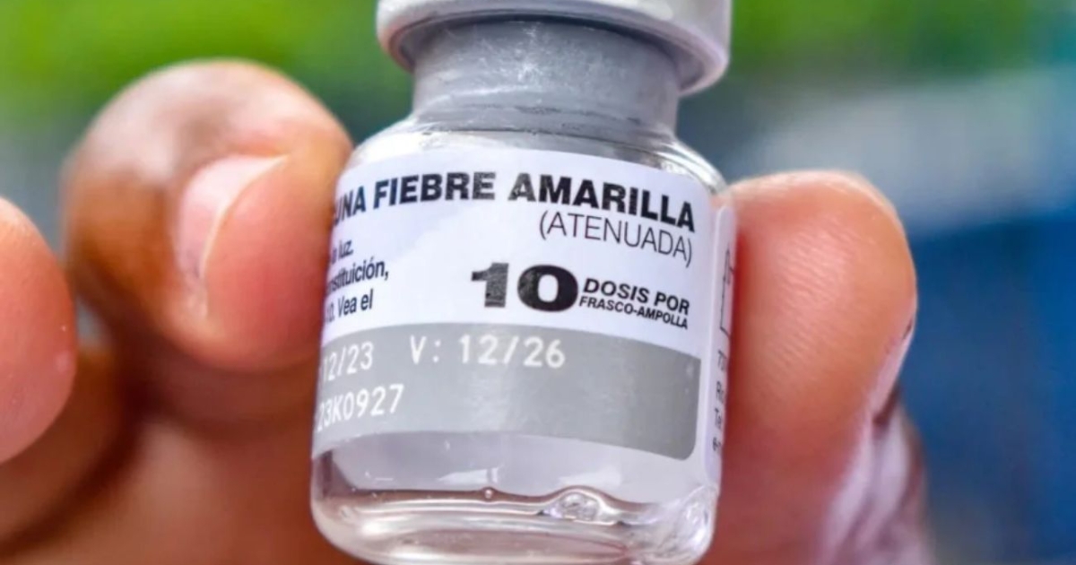 Advertencia de fiebre amarilla: los casos aumentan en vacaciones