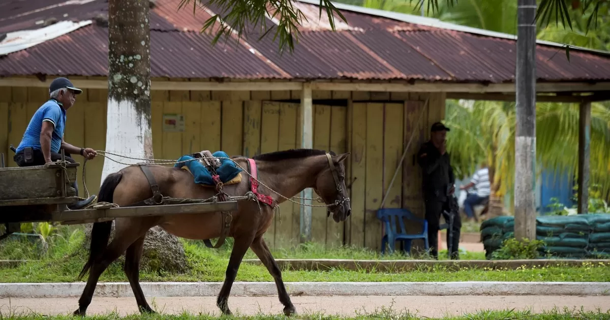 Alcaldes Guaviare niegan la crisis de seguridad