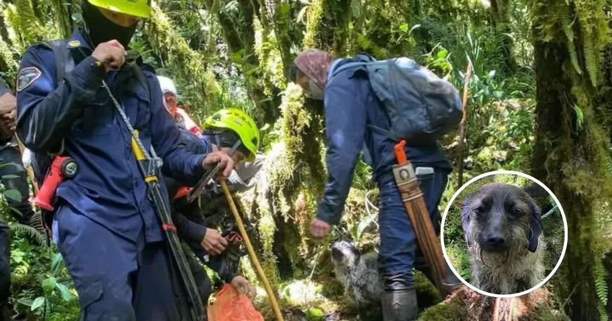 Perrit pasó 9 días junto a su maestro muerto en Colombia