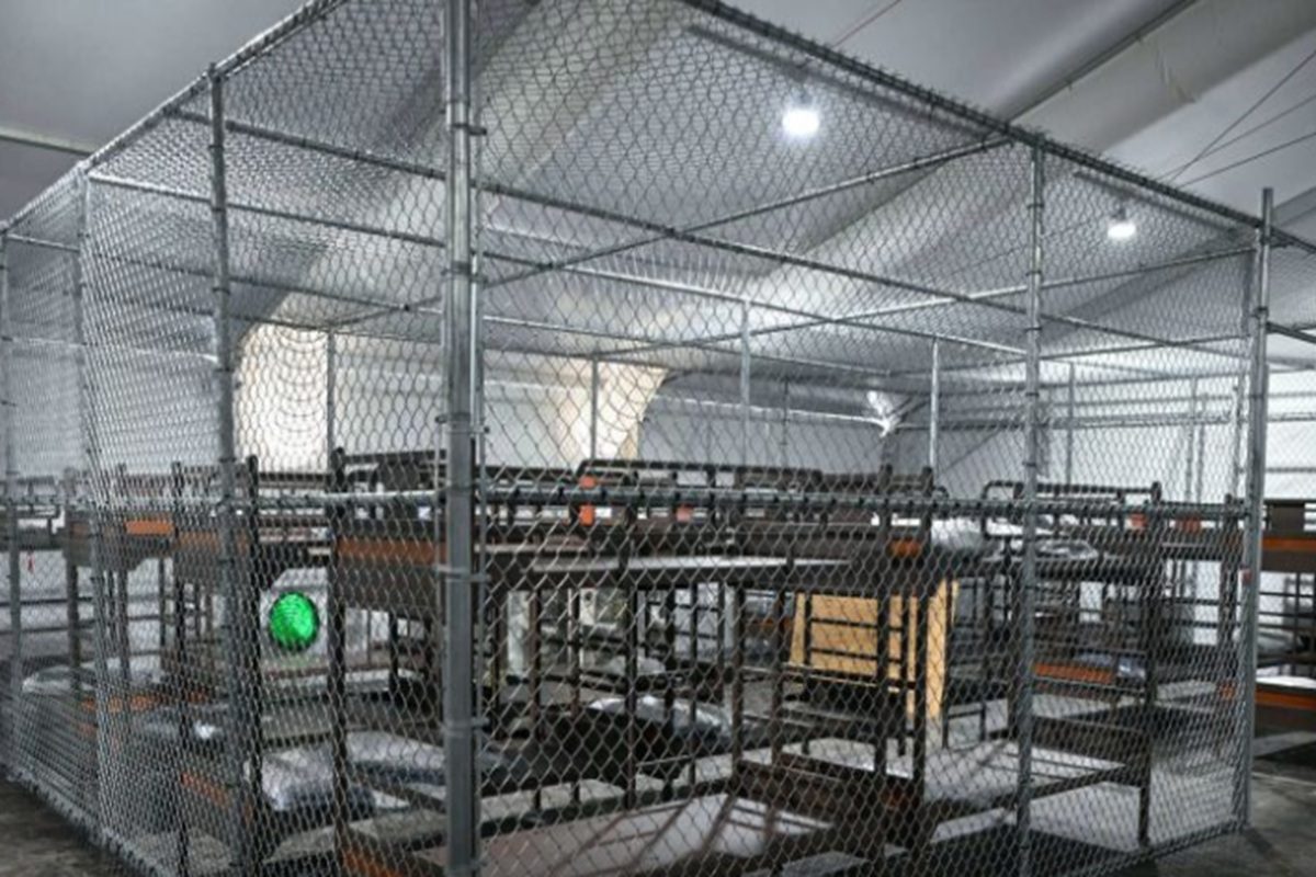 Ahora comienzan a deportar a los migrantes en vuelos desde 'Aligator Alcatraz' en Florida