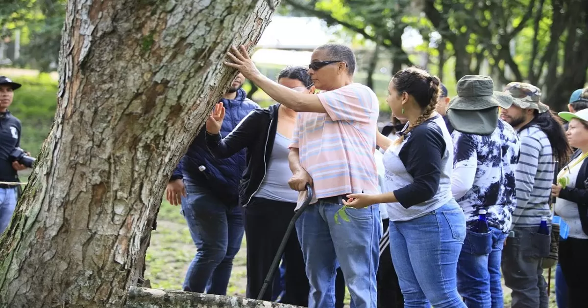 El centro ciego asistió a más de 5,000 adultos