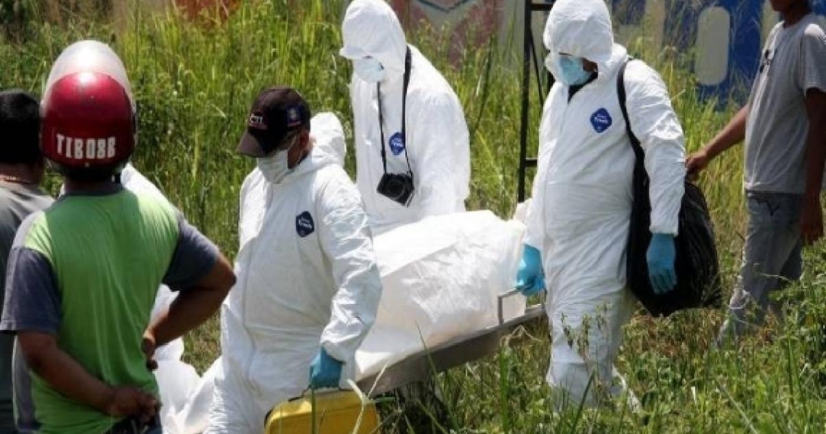 Encuentra un pozo con 8 asesinados por disidentes en guaviario