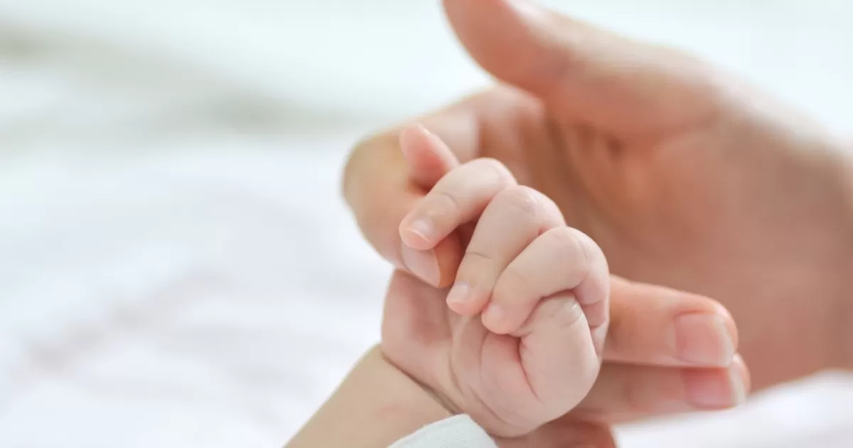 Trabajar para bebés excede los $ 1.6 mil millones