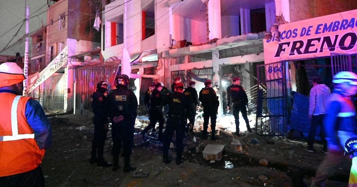Casas con una mosca de dinamita