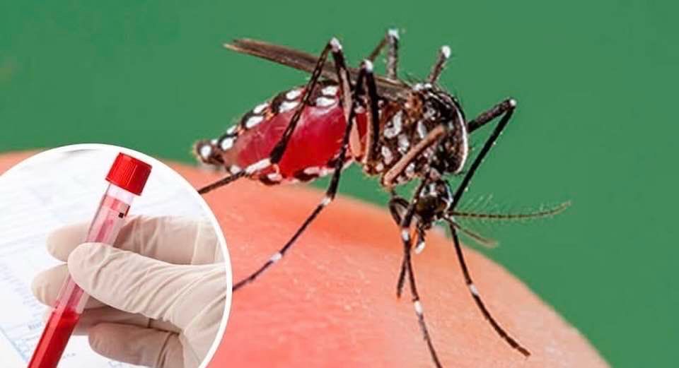 Estrategias contra el dengue en San Andrés