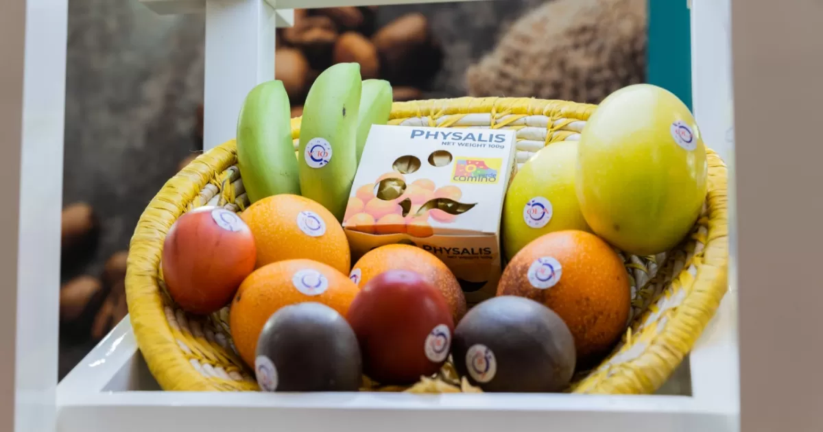 Estos productos colombianos podrían ingresar a los Estados Unidos sin tarifas