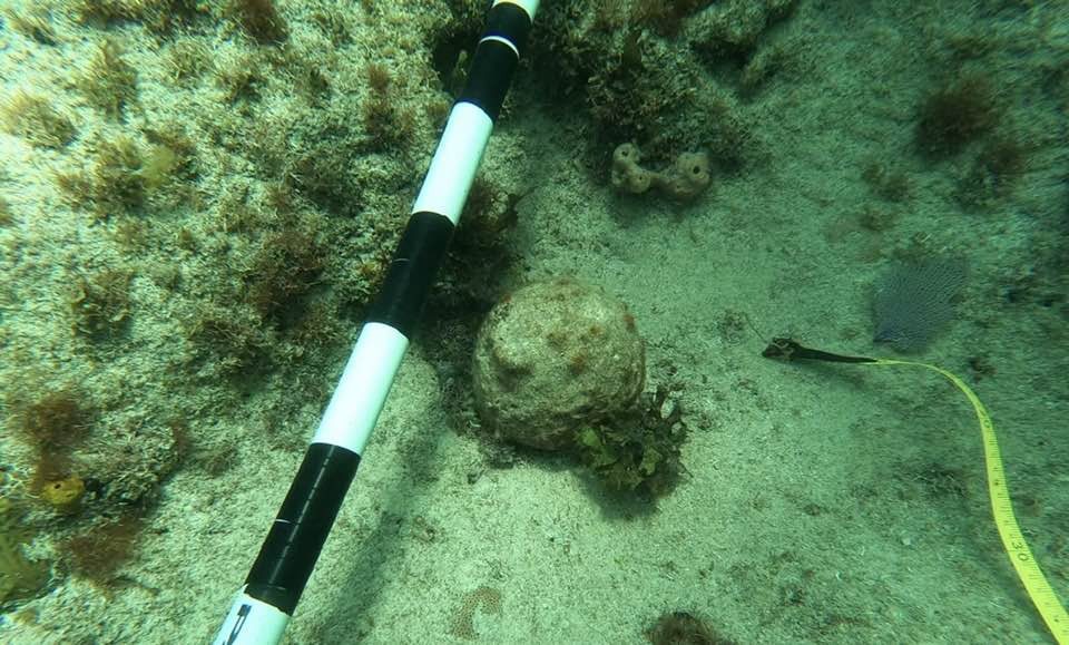 Exploraciones y hallazgos en la Expedición Seaflower 2025