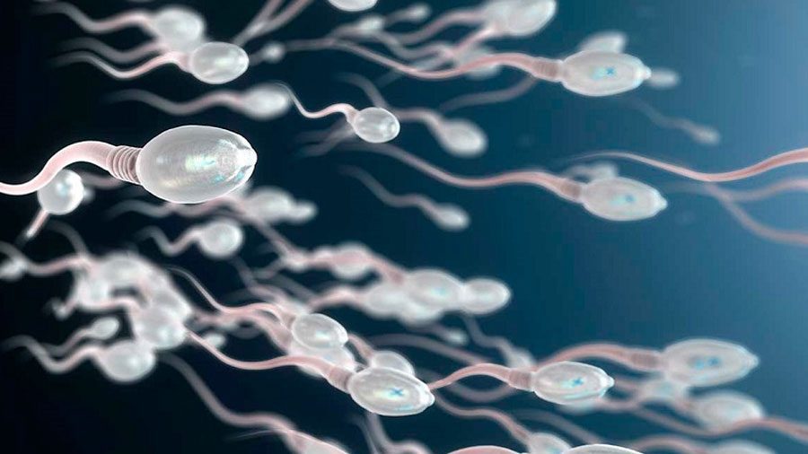 Microbots hechos de esperma, nueva esperanza de infertilidad