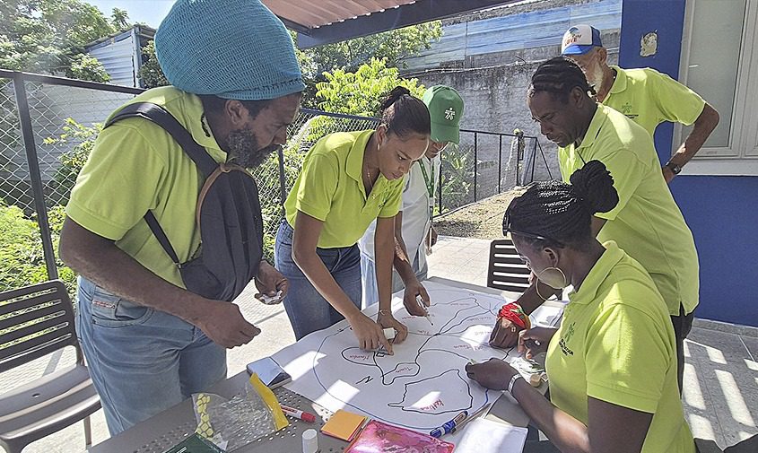 Terreno fértil para la política campesina en Providencia