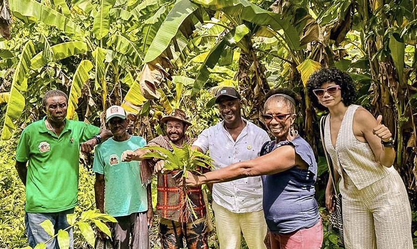 Turismo receptivo en San Andrés y Providencia: novedades y retos