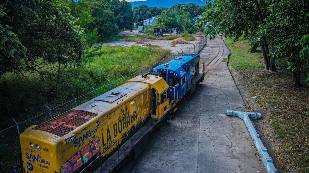 Estos son los 4 corredores ferroviarios que prioriza la ANI