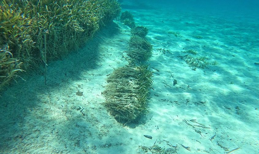 Octubre 24: por qué el Día Mundial contra el Cambio Climático sí nos toca (y mucho) en San Andrés