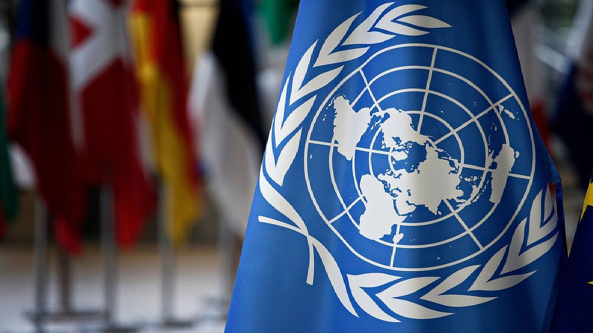 Reportero de la ONU condena "represión transnacional" en ataque a activistas venezolanos en Bogotá