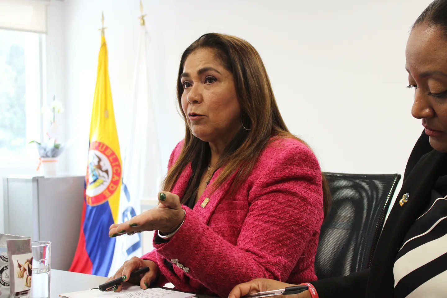 Avanzan proyectos de ley con sello isleño en el Congreso