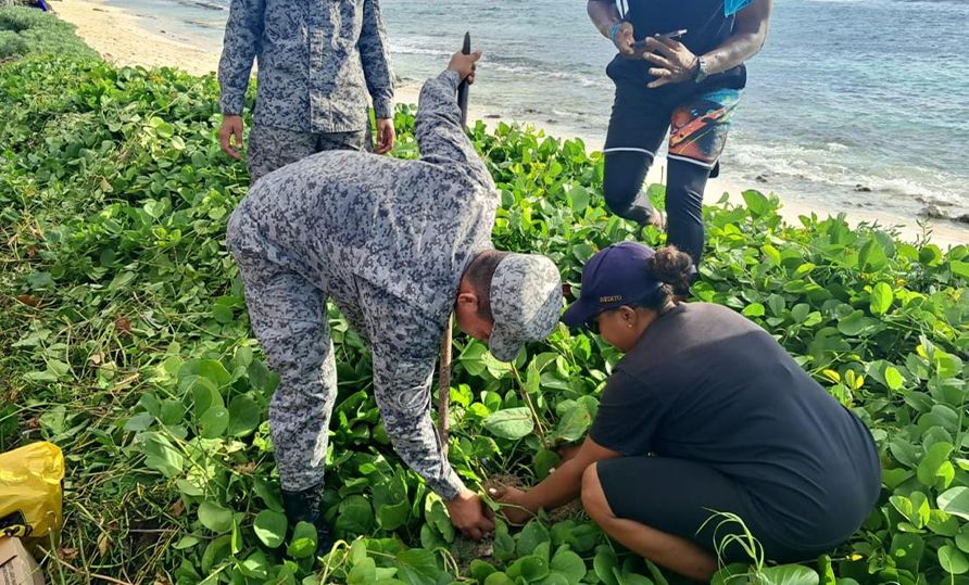 Siembra y limpieza ambiental refuerzan la protección costera en San Andrés