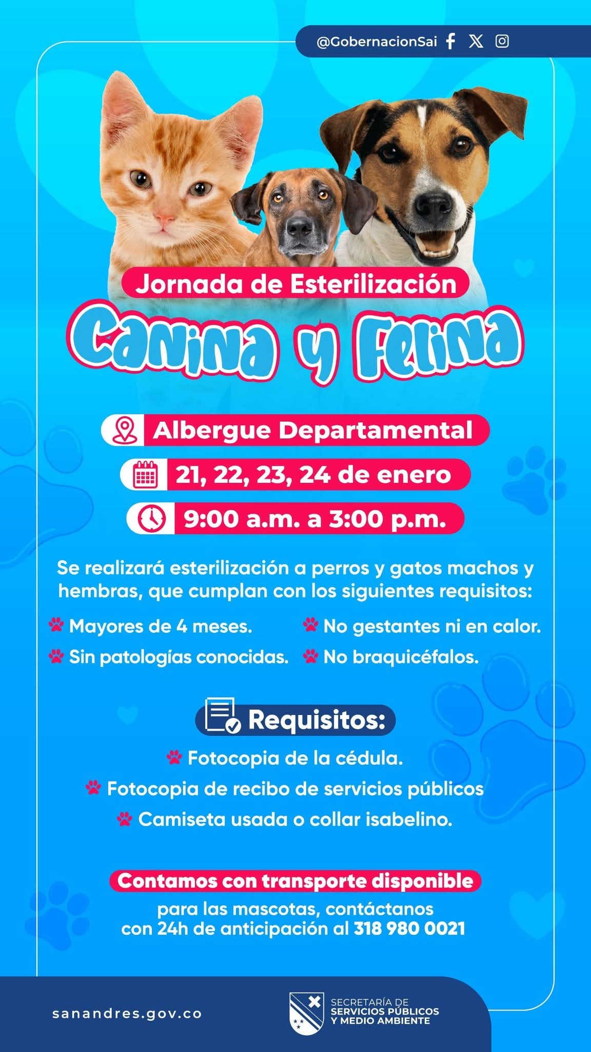 Primera jornada de esterilización para perros y gatos 🐶🐱