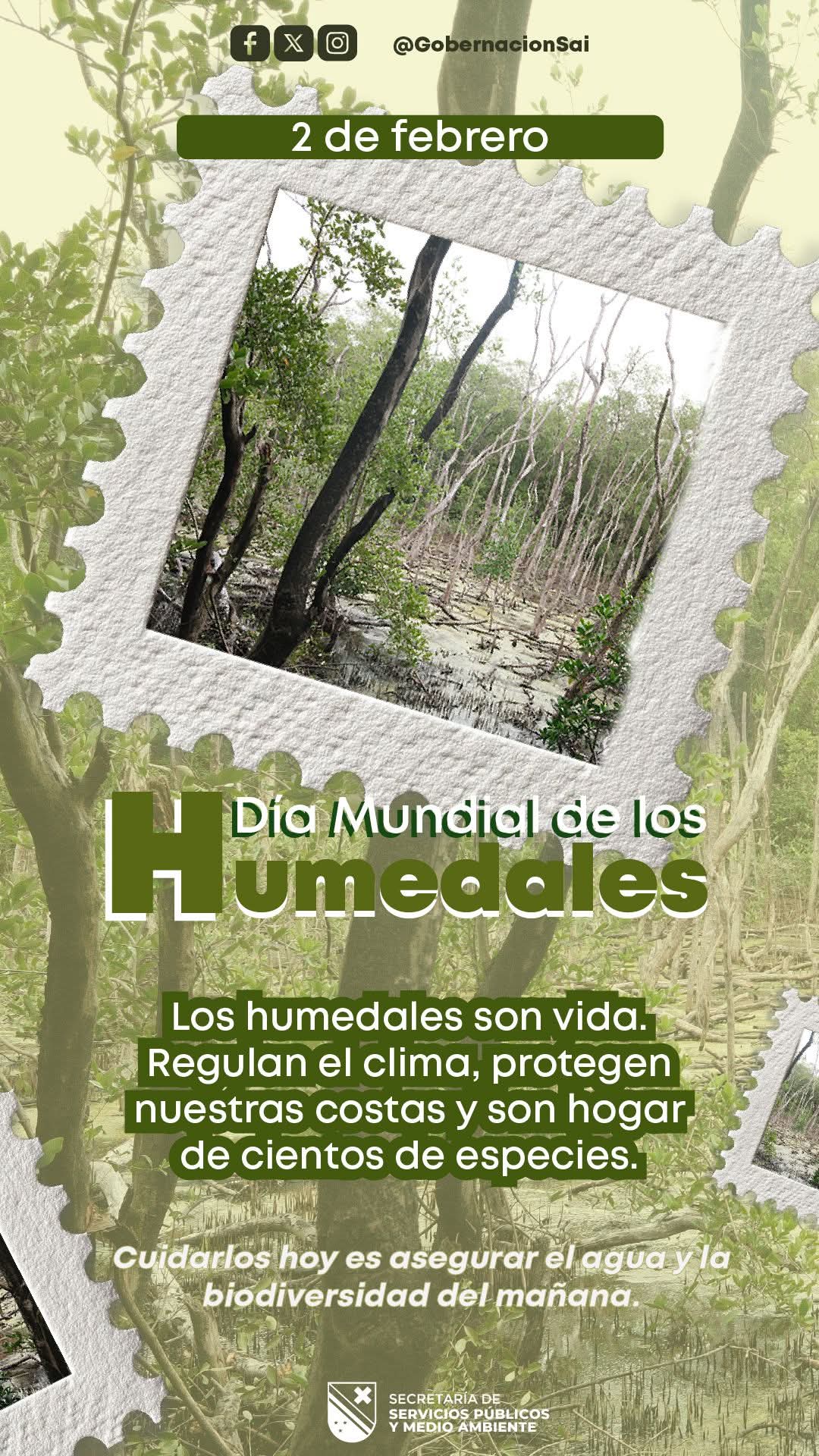 Hoy se conmemora el Día Mundial de los Humedales.