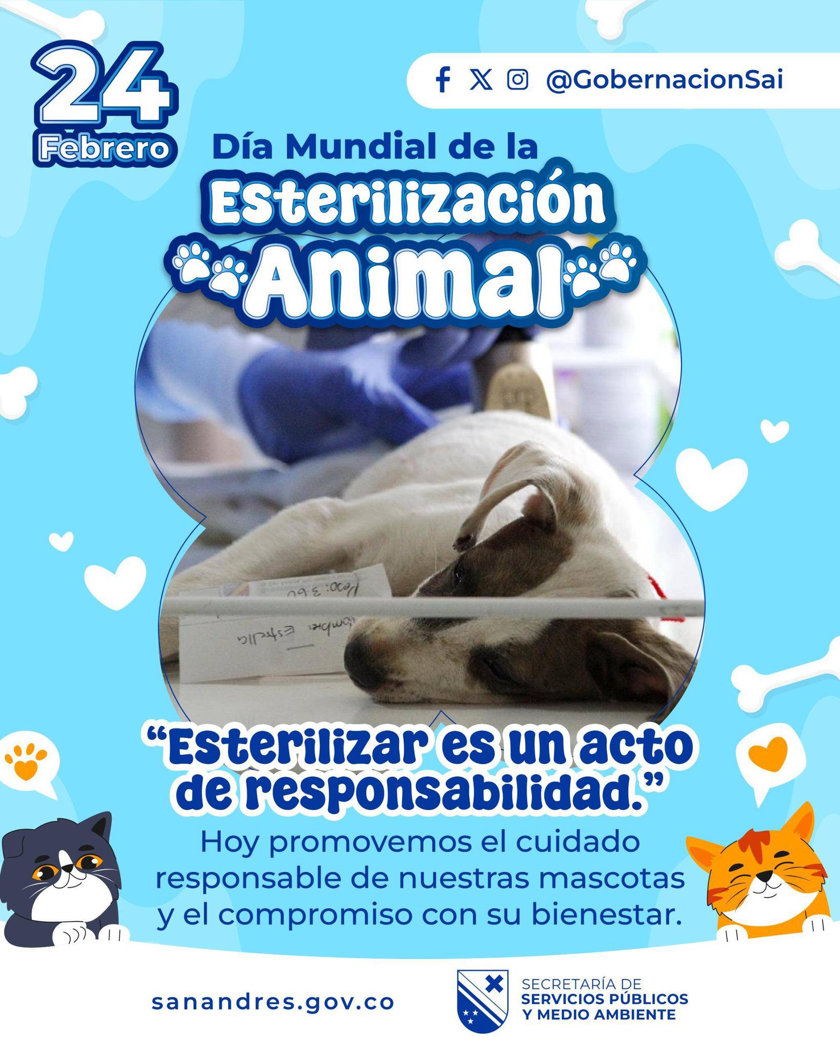 Conmemoración del Día Mundial de la Esterilización Animal 🐾🐶🐱