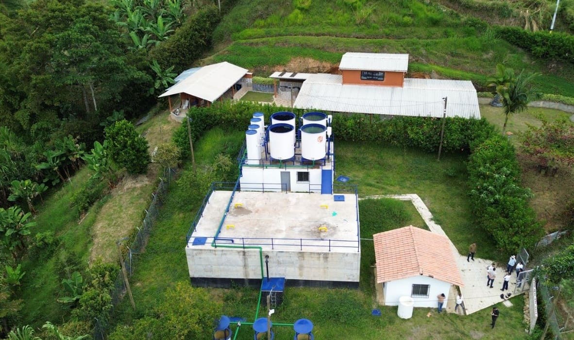 Borrador automático