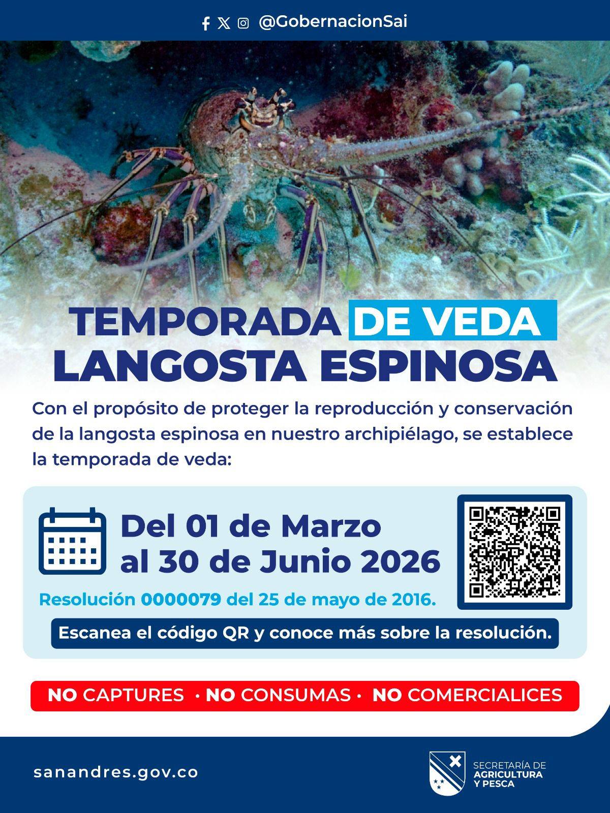 Respetemos la veda de la langosta espinosa y protegemos lo nuestro.