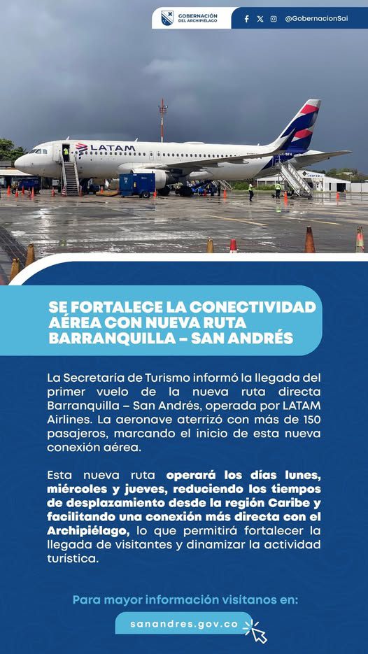 Borrador automático