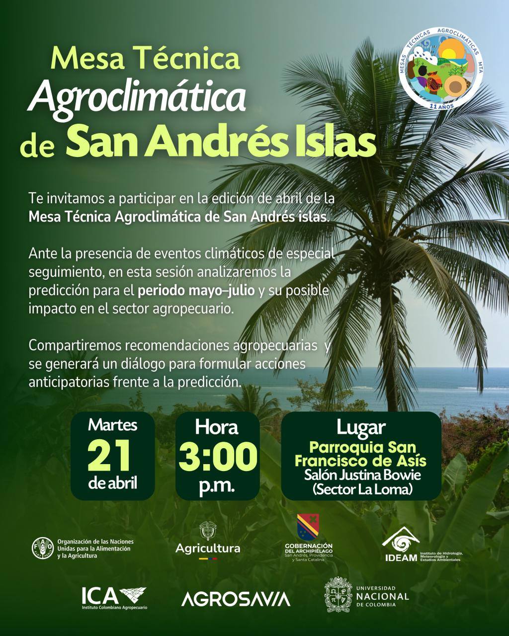 Borrador automático