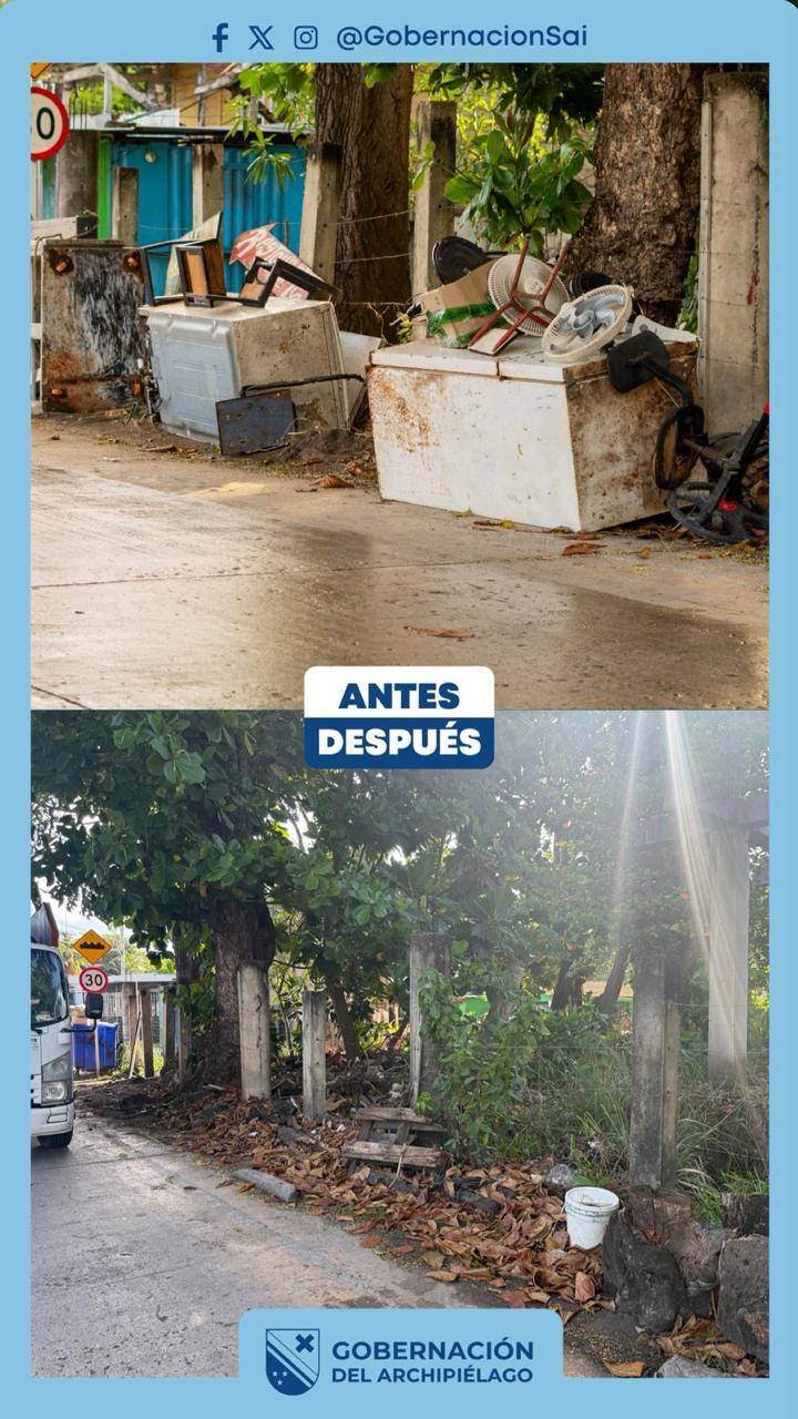 Borrador automático