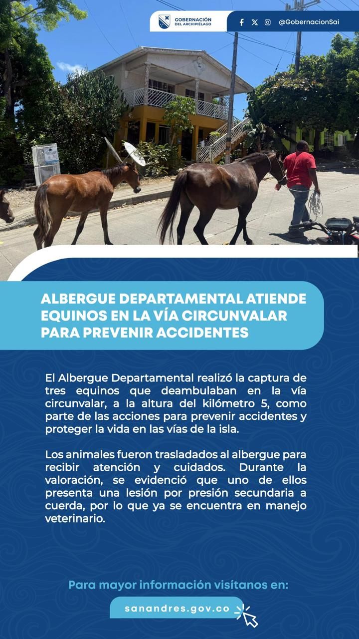 Acciones por la seguridad vial y el bienestar animal en San Andrés.