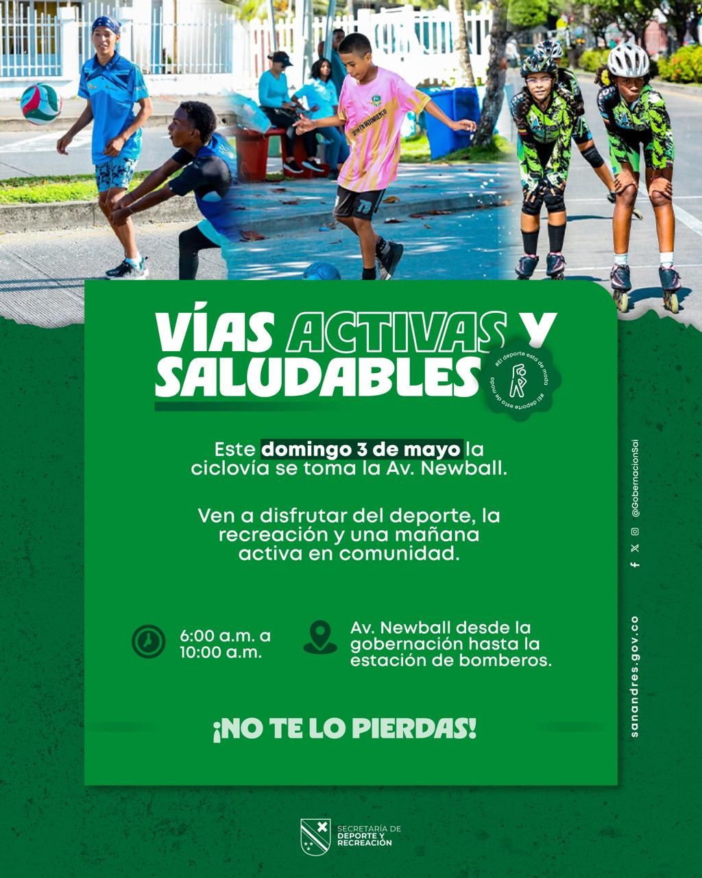 Borrador automático