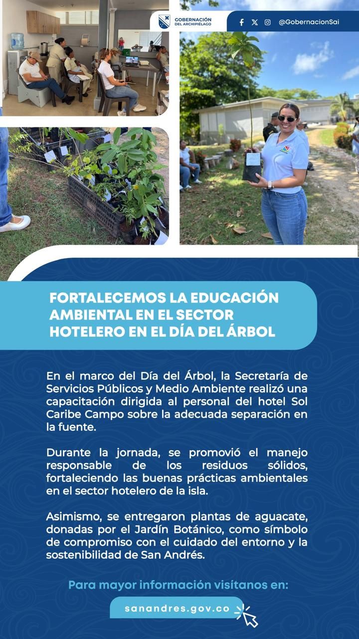 Borrador automático