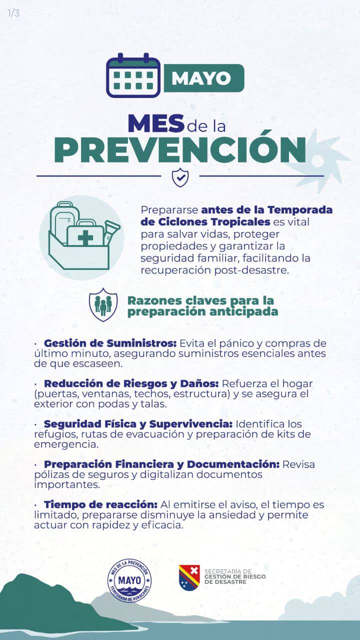Borrador automático