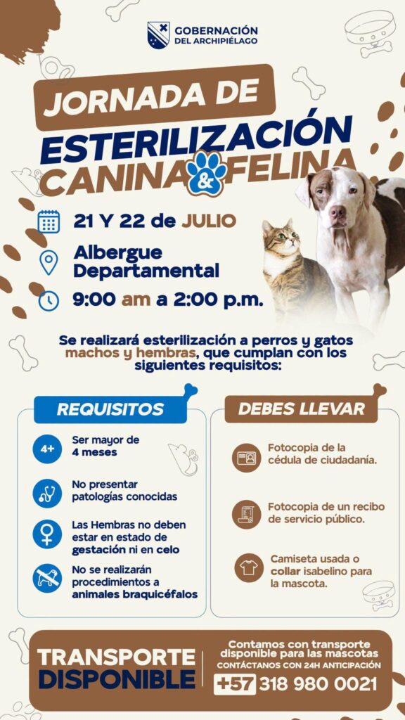 Gobernación de San Andrés realizará jornada gratuita de esterilización para perros y gatos