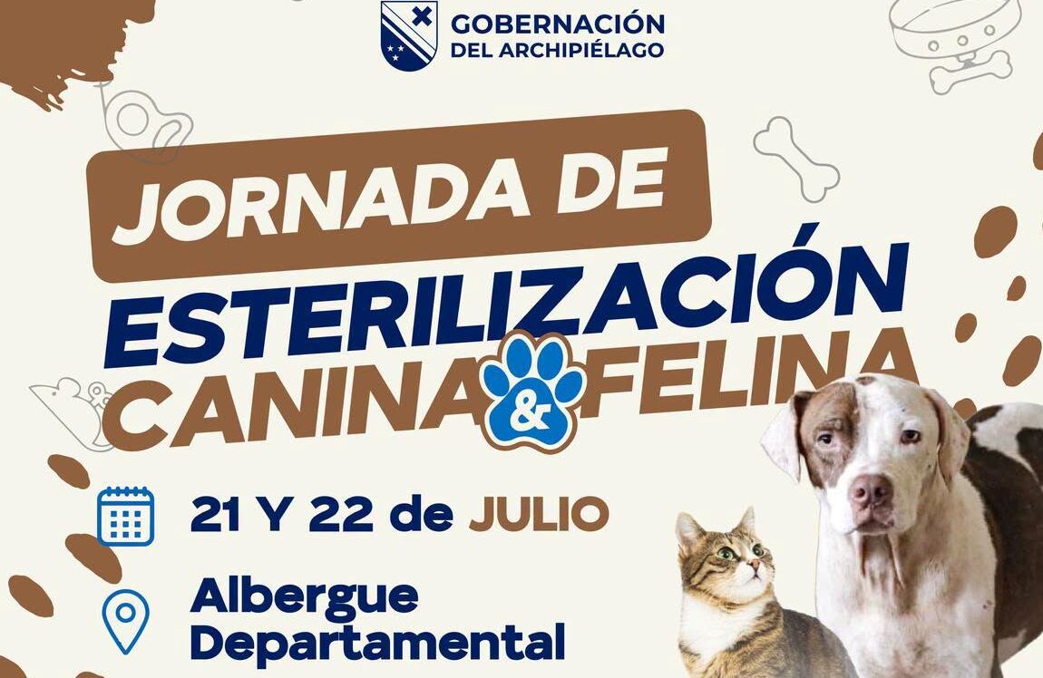 Gobernación de San Andrés realizará jornada gratuita de esterilización para perros y gatos