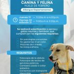 Nueva jornada de esterilización animal en la isla.