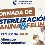 Gobernación de San Andrés realizará jornada gratuita de esterilización para perros y gatos
