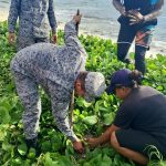 Siembra y limpieza ambiental refuerzan la protección costera en San Andrés
